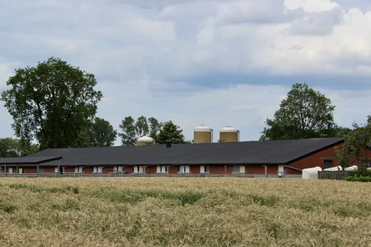 stal landbouw