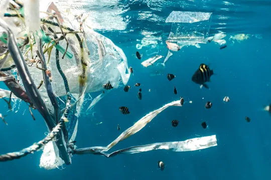 plastic soup