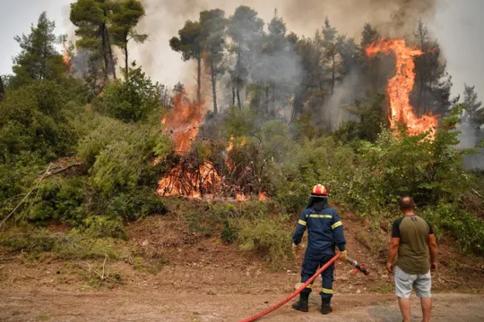 Bosbrand Griekenland