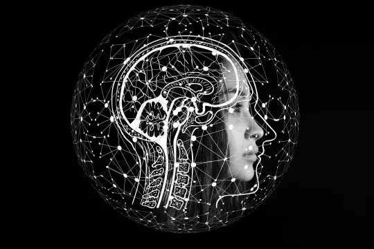 intelligentie