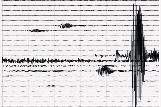 seismogram