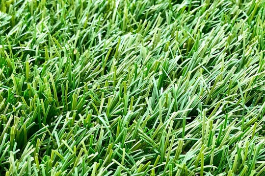 green grass