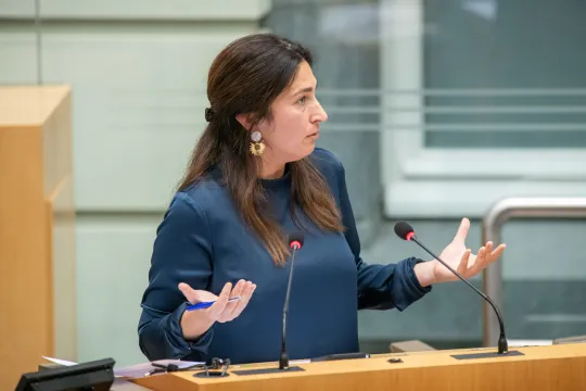 Demir in Commissie voor Leefmilieu
