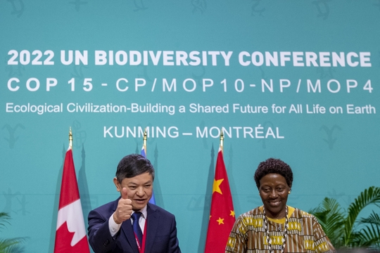 COP15 biodiversiteit