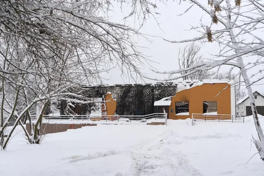 Primatchenko Museum