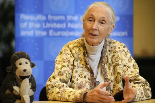 Jane Goodall
