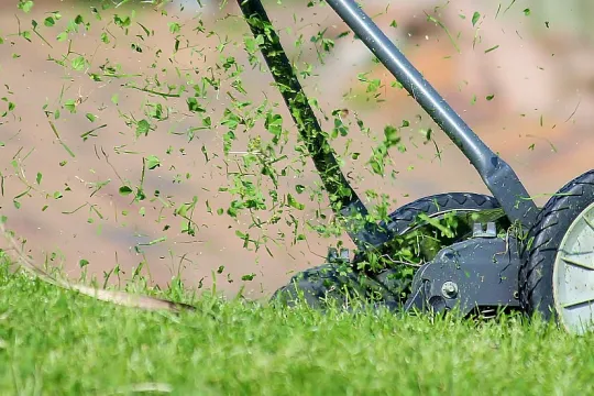 lawn mowing