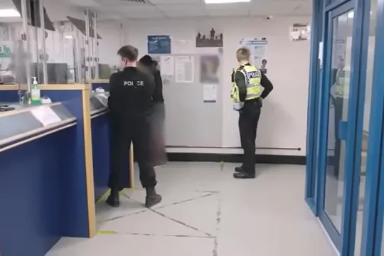 custody