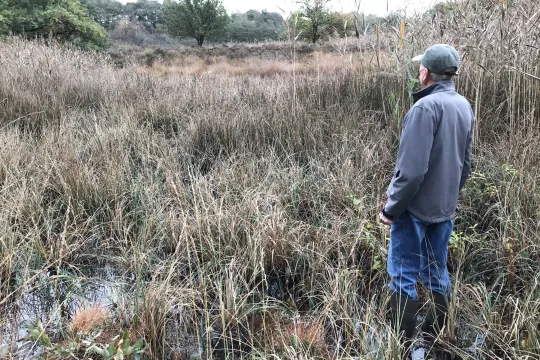Conservator Maurice Schepers in de vallei van de Slangbeek