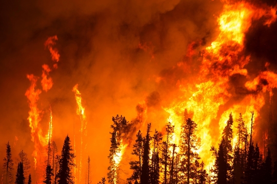 De zomer van 2023 werd gekenmerkt door zware bosbranden in Europa, de VS en Canada.