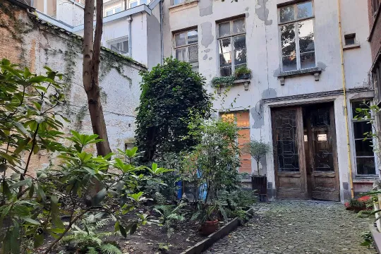 De binnentuin van het pand in de Wolstraat, met struiken en andere begroeiing.