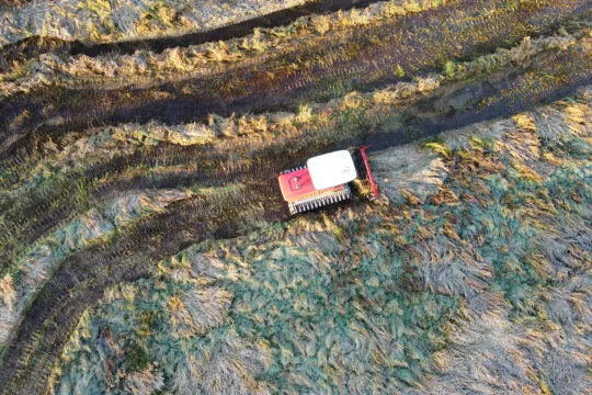 Een voertuig op rupsbanden maait in het veen van het Limburgse natuurgebied de Vallei van de Zwarte Beek.