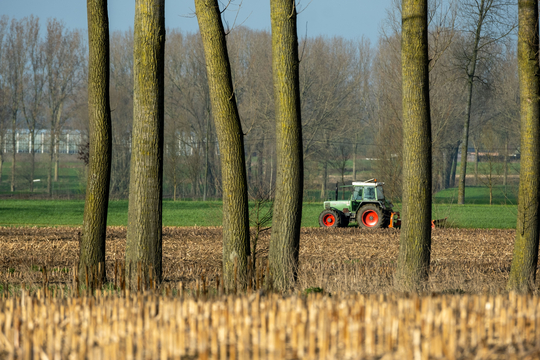 Tussen een rij bomen is een tractor te zien die op het veld aan het werk is.