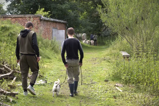De tijd vertraagt bij vzw Patrasche. 'Wie hier binnenkomt, stapt in "dierentijd.' 