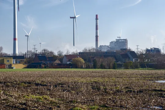 Maïsvelden in de buurt van de fabriek van Molymet Belgium in Evergem.