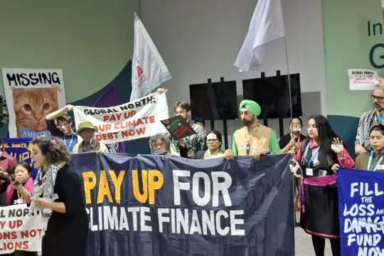 COP29