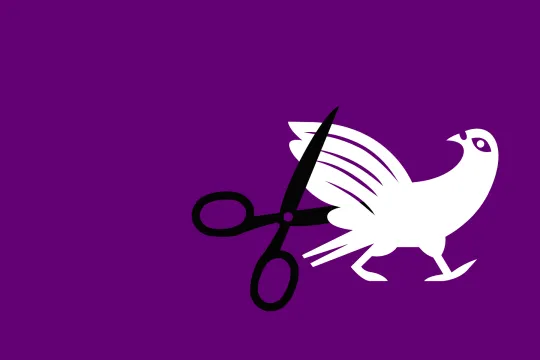Een witte duif, het logo van Apache, met een zwarte schaar die de vleugels dreigt de knippen, op een paarse achtergrond.