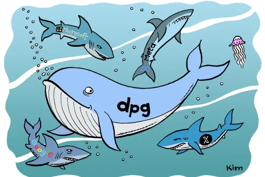 Een walvis omcirkeld door haaien