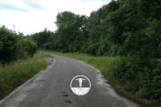 Een weg door het Zoerselbos