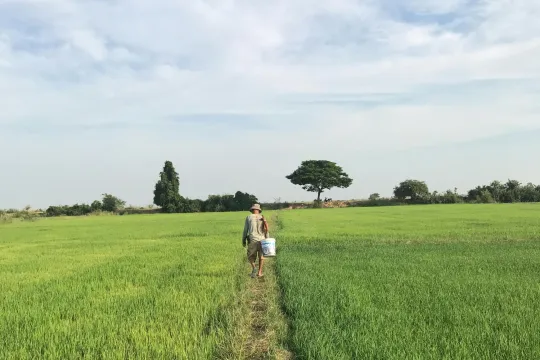 Man in de Cambodjaanse rijstvelden