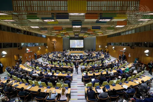High-level International Conference for the Peaceful Settlement of the Question of Palestine and the Implementation of the Two-State Solution
