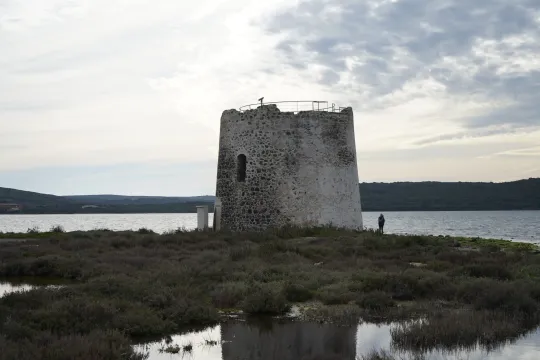 De wetlands van Marceddi