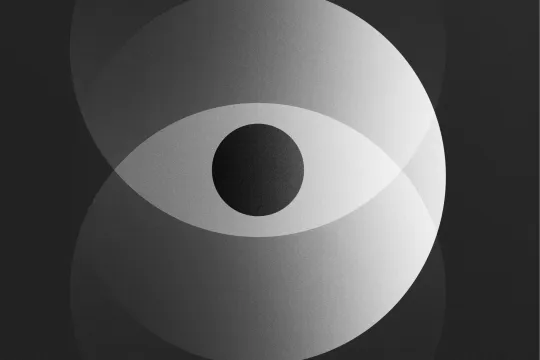 Na de aanslagen in Parijs in 2015 startte Europol een taskforce en begonnen wetshandhavingsinstanties van de lidstaten grote hoeveelheden data naar het agentschap te sturen.