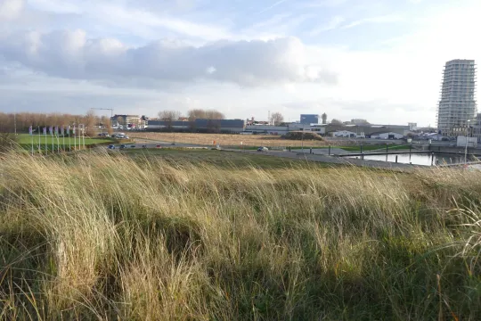 Groene grassen op de duinen van Oosteroever, met in de achtergrond een toren van een flatgebouw. 