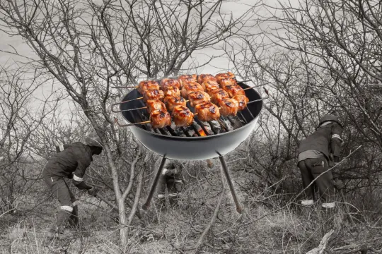 foto van barbecue met satés op en op de achtergrond een beeld van bosbeheer in Namibië