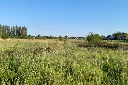 Een groen veld met daarachter een rij bomen en vrijstaande woonhuizen, tegen een heldere blauwe hemel.