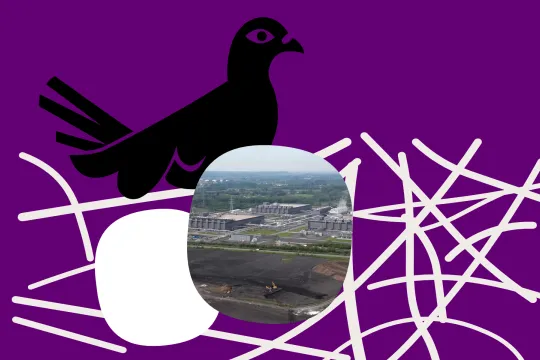 De Apache-duif heeft een eitje in haar nest waarin je een foto van een datacenter kan zien.