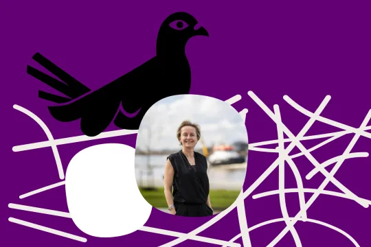 De Apache-duif heeft een eitje in haar nest waarin je een foto van Annick De Ridder kan zien.