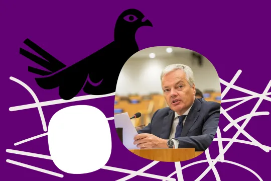De Apache-duif heeft een eitje in haar nest waarin je een foto van Didier Reynders kan zien.