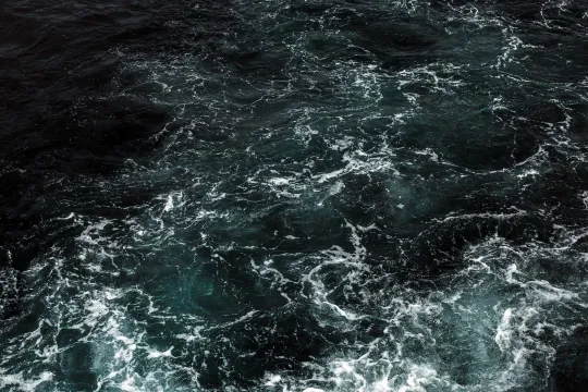 maria-teneva-McJM6QKy5lk-unsplash