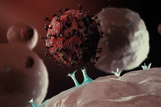 Coronavirus (Sars-CoV-2) (3D animatie van virus dat cel binnendringt (c) wearecovert.com)