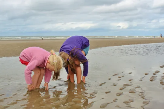 beach-514842_1920