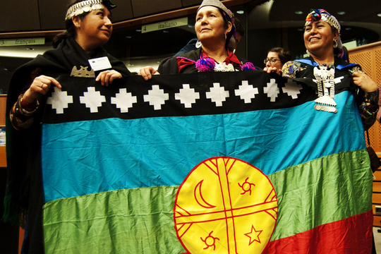 Mapuches in het Europees Parlement (Foto Bia Noronha)