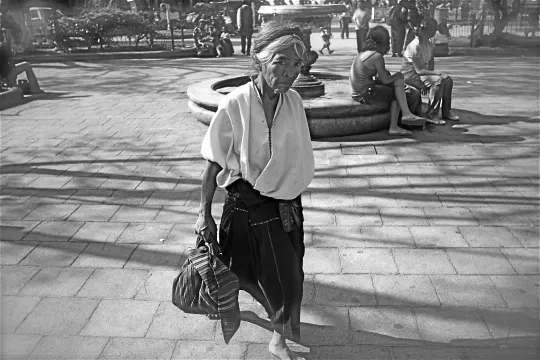 Maria Alfonso