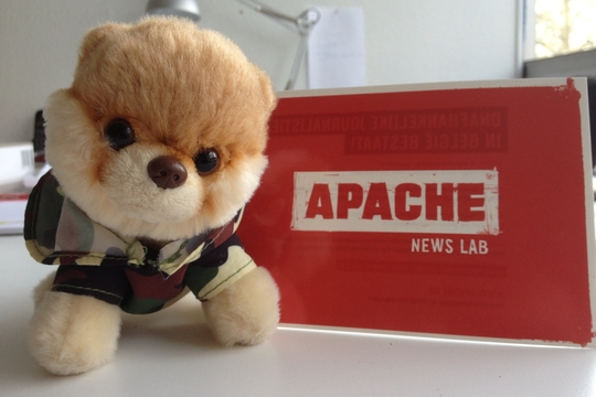 La peluche du chien Boo de la rédaction aime Apache.be