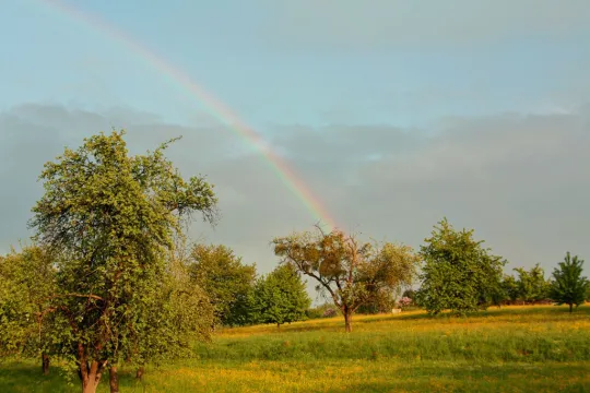 16155614350_5a18cd649a_b