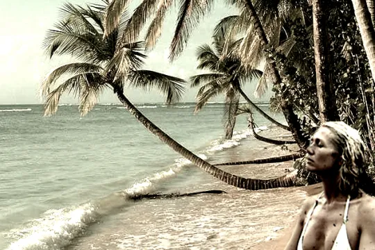Anne De Beachelier