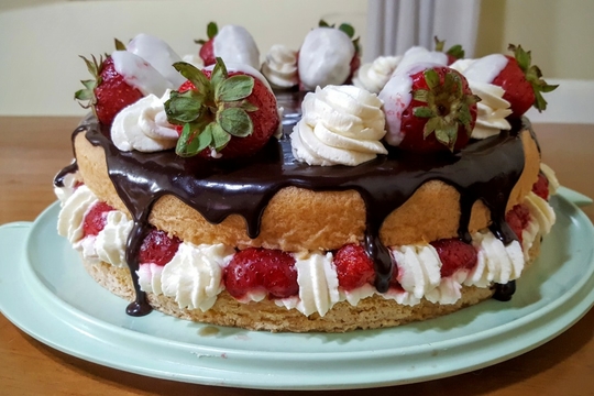 cake_strawberry_chocolate_cream_sweet_sponge_cake_flavor-1173670.jpg!d