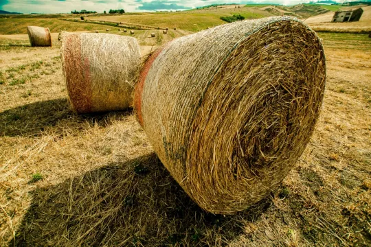nature_sky_landscape_campaign_wheat-1376848.jpg!d