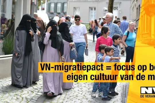 Screenshot van foto op N-VA campagnesite migratiepact