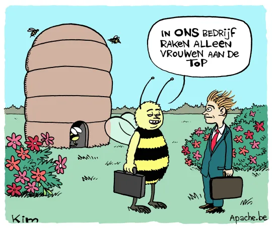 vrouwen aan de top