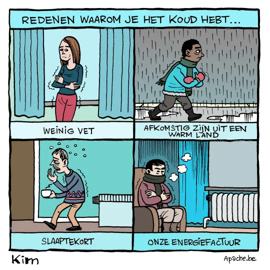 Redenen van kou