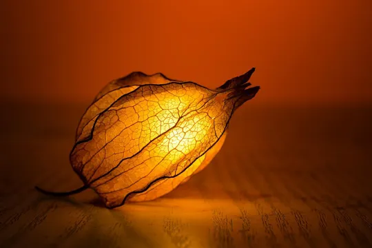warm glow