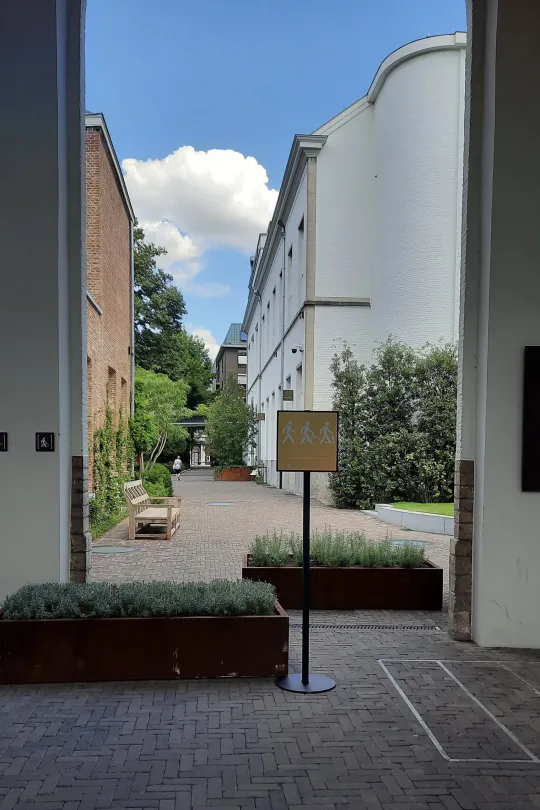 Bloembakken Botanische Tuin