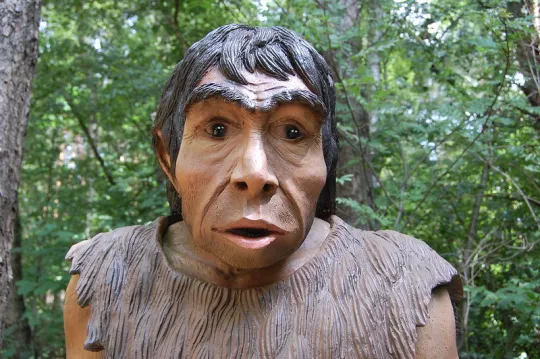 neanderthaler