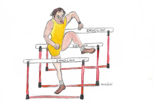 Jan Jambon en de stikstofmarathon